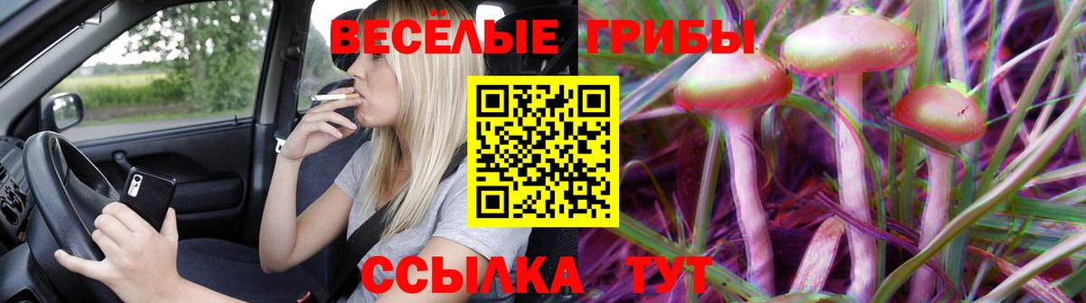 Псилоцибиновые грибы мицелий Тула